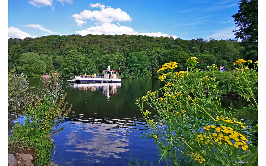 Radfahrer fahren auf der RuhrtalFähre Hardenstein über die Ruhr