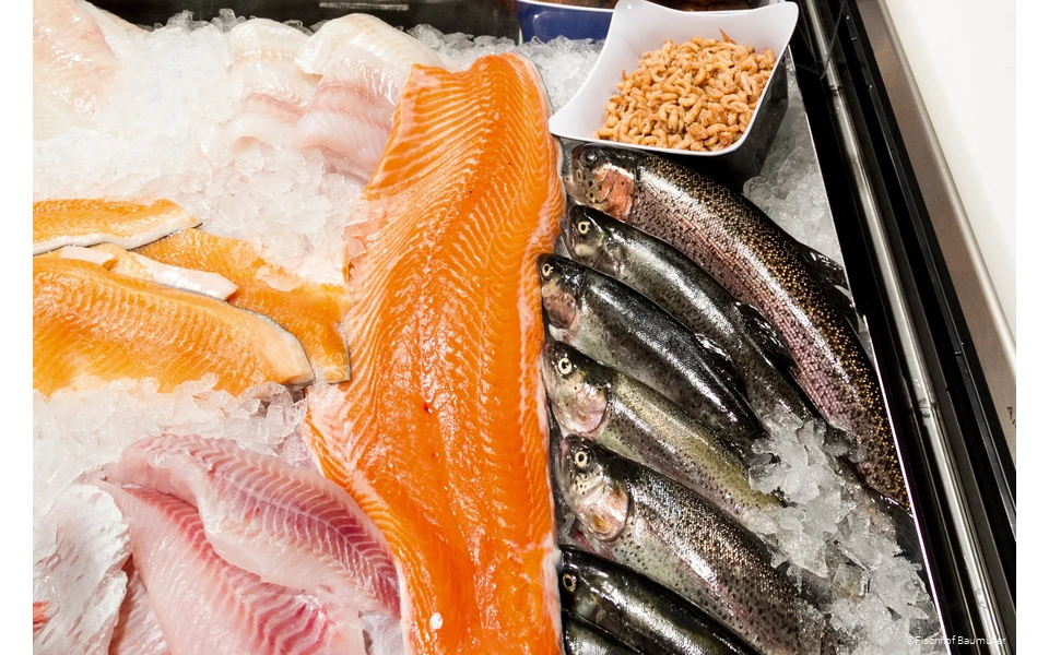 Fischauslage des Fischhofs Baumüller in Wickede (Ruhr)