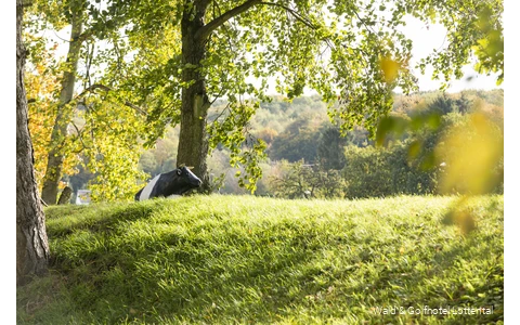 Umgebung des Wald & Golfhotel Lottental in Bochum
