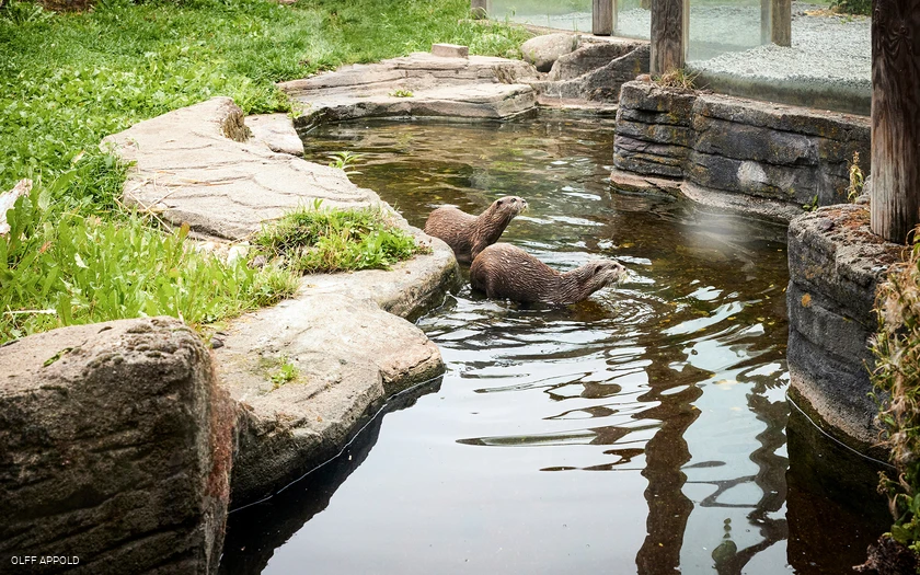 SEA LIFE Oberhausen