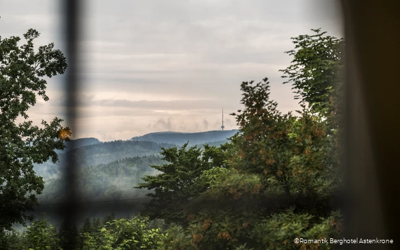 Ausblick vom Romantik Berghotel Astenkrone in Winterberg