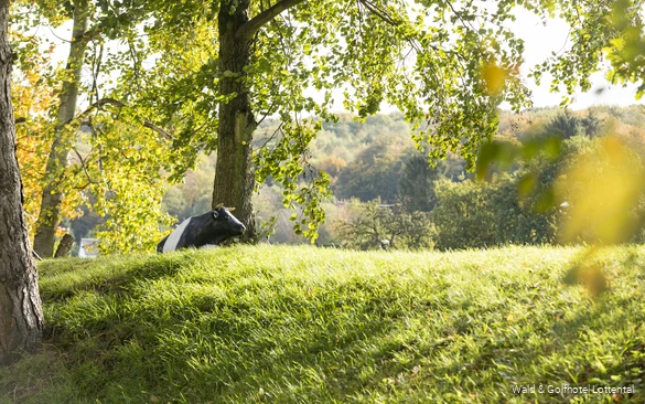 Umgebung des Wald & Golfhotel Lottental in Bochum