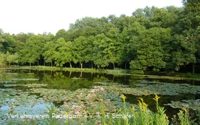 Naherholungsgebiet Fischteiche