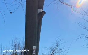 Winterbild Wennigloher Rundweg