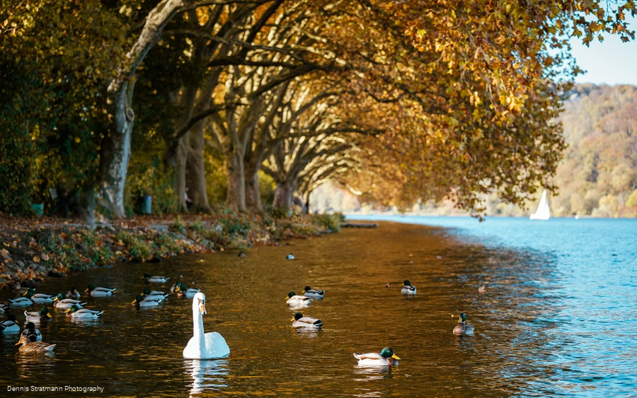 Baldeneysee, Essen