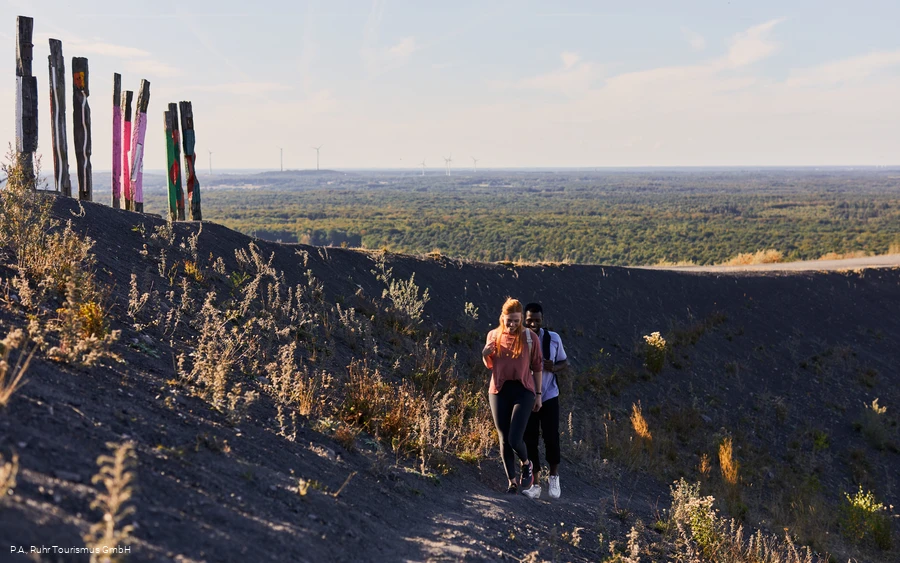 Halde Haniel, Bottrop