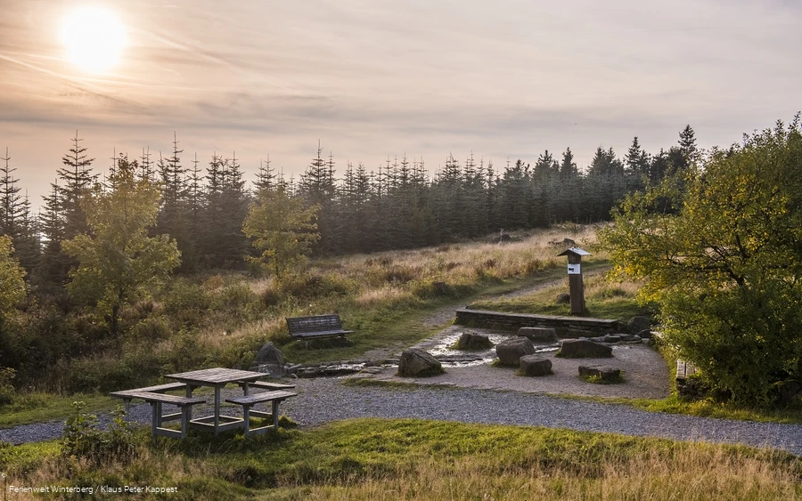 FerienweltWinterberg_2017_Altastenberg Lennequelle Wandern Kahler Asten_SommerHerbst (5)_(low)_Klaus-Peter Kappest.jpg