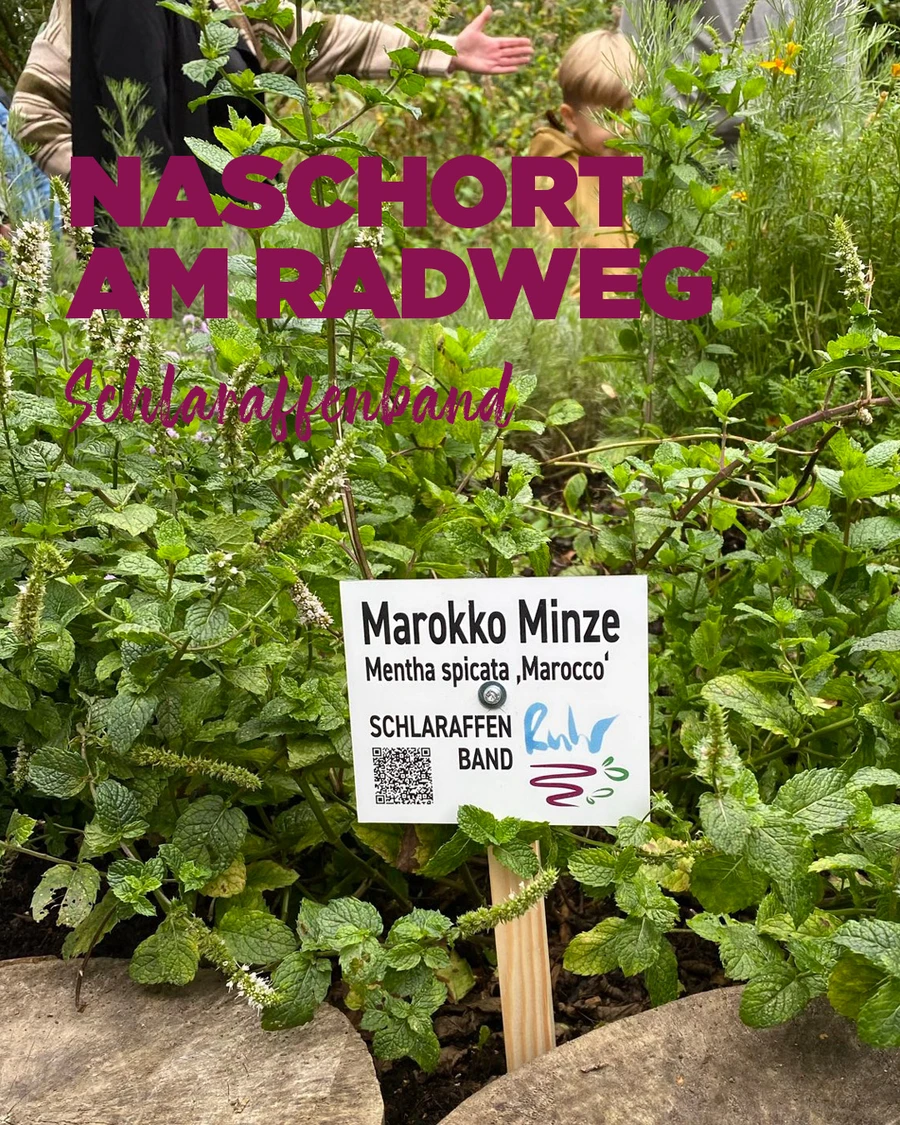 2025_03_17_Schlaraffenband