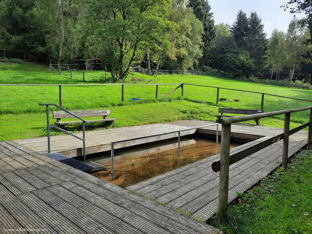 Tretbecken Assinghausen