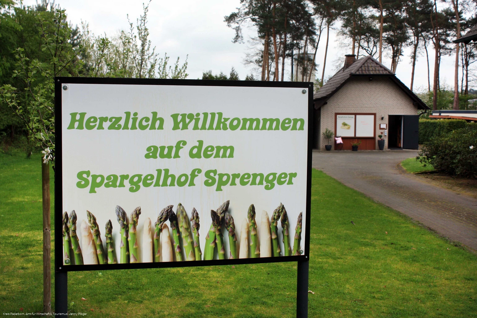 Spargelhof Sprenger | Delbrück